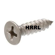 SS Phillip Head Wood Screws Manufacturer